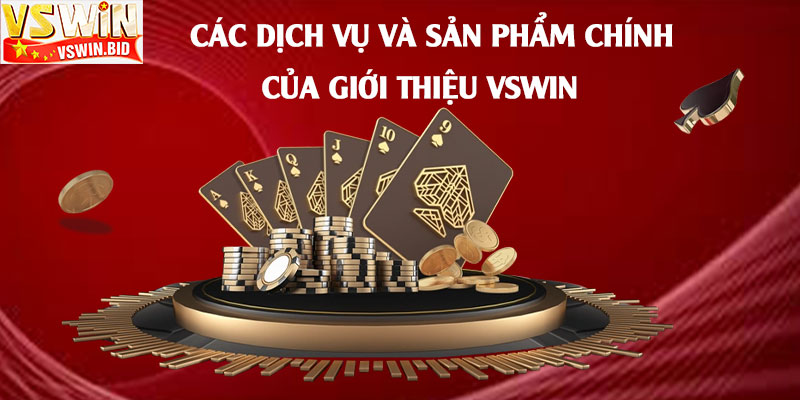 Các-Dịch-Vụ-Và-Sản-Phẩm-Chính-Giới-Thiệu-Vswin