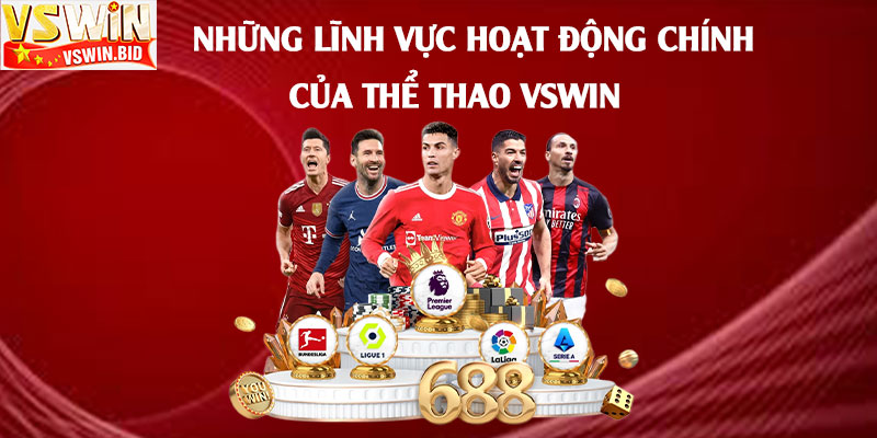 Thể Thao Vswin Bib – Trang Thể Thao Được Yêu Thích Nhất 2025 2 Những-lĩnh-vực-hoạt-động-chính-của-Thể-Thao-Vswin
